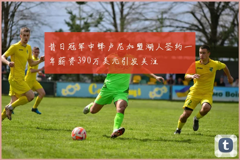 昔日冠军中锋卢尼加盟湖人签约一年薪资390万美元引发关注